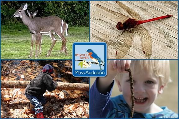 Four days of exploring and natural adventure await your child at Ipswich River Wildlife Sanctuary this April Vacation! Four days of exploring and natural adventure await your child at IRWS!