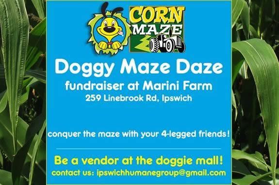 Marini Farm hosts Doggie Maze Days as a fundraiser for the Ipswich Humane Society! Come bring your pet to the corn maze and get lost with other pet owners! Marini Farm hosts Doggie Maze Days as a fundraiser for the Ipswich Humane Society! Come bring your pet to the corn maze and get lost with other pet owners!