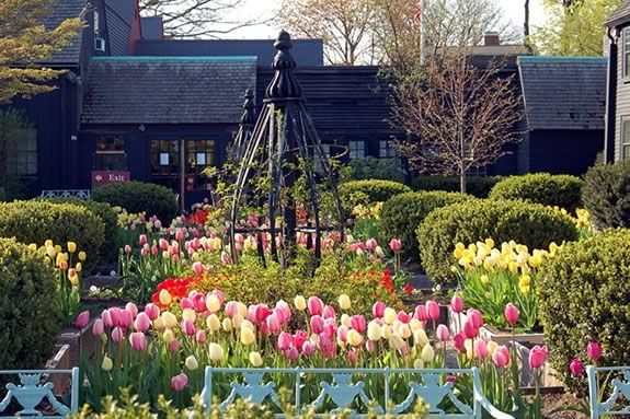 Come to the House of Seven Gables for a Trails & Sails event that focuses on the gardens and how they change seasonally with the climate! Come to the House of Seven Gables for a Trails & Sails event that focuses on the