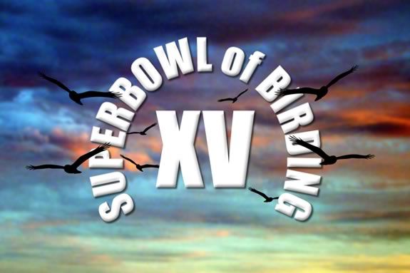The Superbowl of Birding is a great way to spend the day outdoors with family. The Superbowl of Birding is a great way to spend the day outdoors with family.