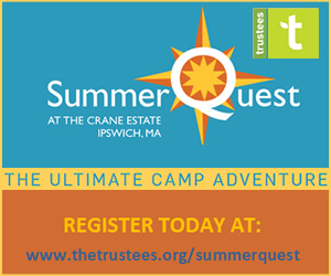 Day camp for kids ages 5-14 at the Trustees of Reservations Crane Estate in Ipswich, Massachusetts
