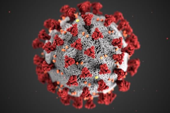 National Geographic offers free access to their COVID-19 coverage during the duration of the pandemic. National Geographic offers free access to their COVID-19 coverage during the duration of the pandemic.
