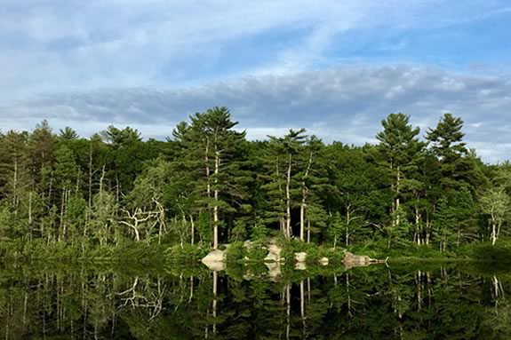 Harold Parker State Forest Massachusetts DCR