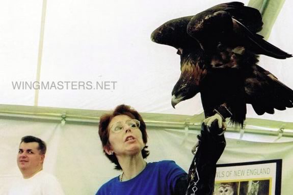 Wingmasters demonstrate live birds of prey of various specious in Massachusetts