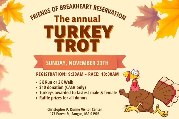 Come to Breakheart Reservation for a pre-Thanksgiving Turkey Trot in Saugus Massachusetts! Come to Breakheart Reservation for a pre-Thanksgiving Turkey Trot in Saugus Massachusetts!