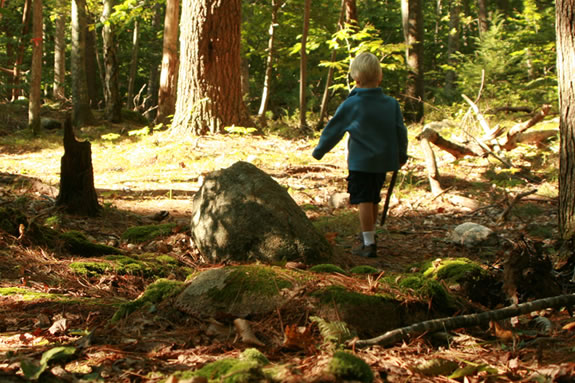 Discover the natural treasures that Ravenswood park offers up in Gloucester, MA during the month of November. Discover the natural treasures that Ravenswood park offers up in Gloucester, MA