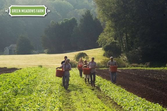 Green Meadows CSA shares are a great source for locally grown organic produce!
