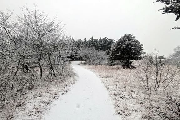 Get outside for a nature hike at Parker River National Wildlife Refuge during Febrary Vacation! Get outside for a nature hike at Parker River National Wildlife Refuge during Febrary Vacation!