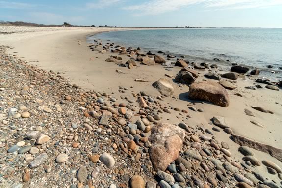 Explore the explosion of awakening Spring life at the shore with Naturalists from Mass Audubon.