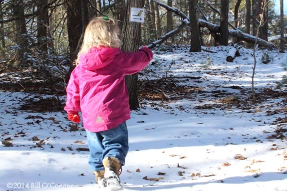 The Trustees of Reservations' Rocky Woodland Trail at Ravenswood Park in Gloucester Massachusetts 