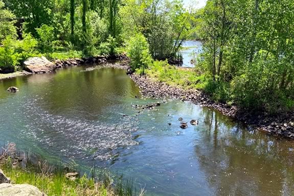 Take a hike along the Saugus River Estuary ande explore the Saugus Iron Works Park grounds in Massachusetts