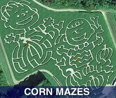 Check out North Shore Kid's great selection of places to get lost in a corn maze north of Boston. Massachsuetts North Shore Corn Mazes