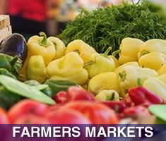 Check out North Shore Kid's complete list of Farmers Markets North of Boston on Massachusetts' North Shore Beaches! 