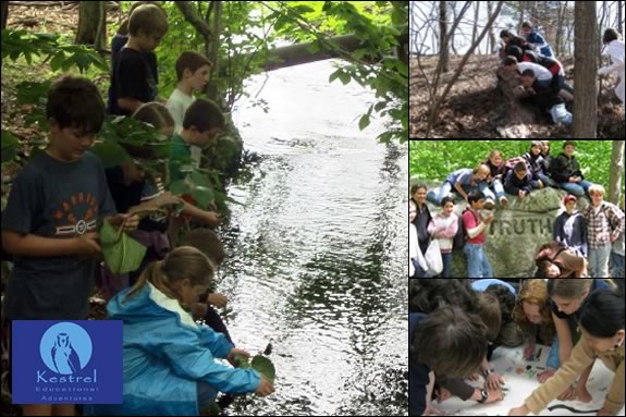 Kids will learn about ecology, film-making and working in teams in this workshop