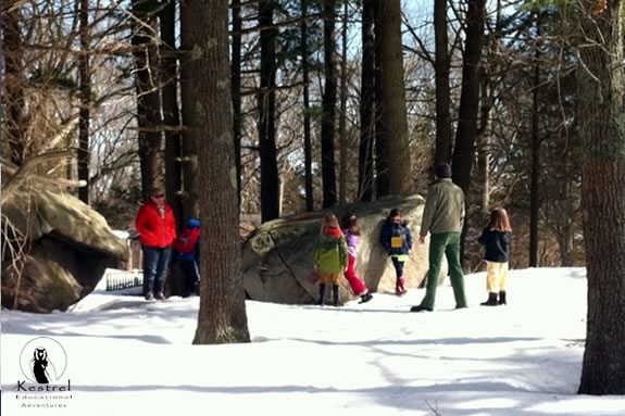 Explore the woods of the North Shore with naturalists from the Kestrel Education! 