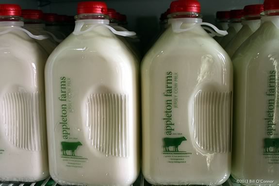 Dairy shares are now available through the Trustees of Reservations Appleton Farms in Ipswich, Mssacahusetts! Dairy shares are now available through Appleton Farms in Ipswich, MA!