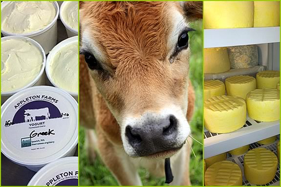 Farm Fresh Yogurt is now available at The Trustees of Reservations' Dairy Store at Appleton Farms in Ipswich Massachusetts. Farm Fresh Yogurt is now available at Appleton Farms in Ipswich