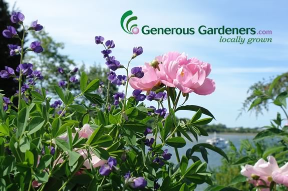 Generous Gardeners needs your help to raise funds for the G.E.F.!
