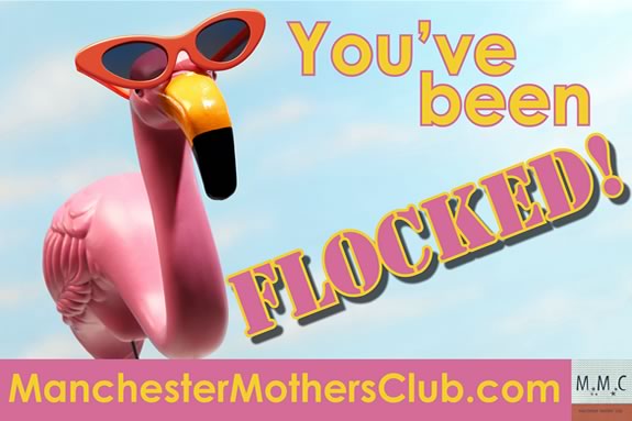 Help the Manchester Mothers Club and add a little silly to somebody's day! Flock your friends for fun! Help the Manchester Mothers Club and add a little silly to somebody's day!