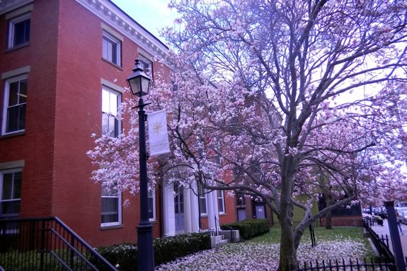 The Newburyport Library is just one of the wonderful libraries on the North Shore of Massachusetts