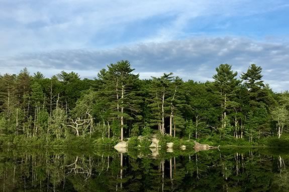 Hike to the soap stone quarry at Harold Parker State Forest