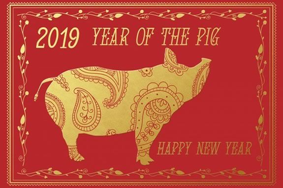 Abbott Library in Marblehead Massachusetts celebrates the Year of the Pig