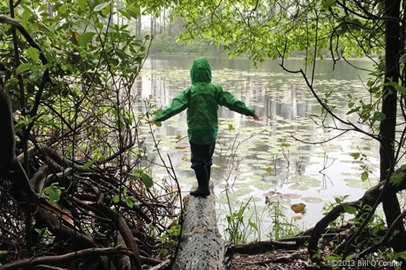 Have an adventure at Ipswich River Wildlife Sancatuary! Have an adventure at Ipswich River Wildlife Sancatuary!