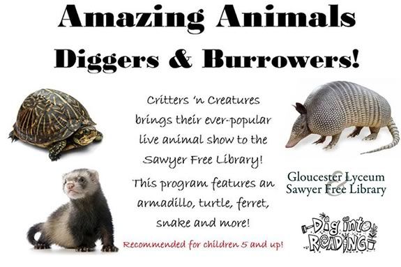 Critters for Creatures is going to be at the Sawyer Free Library! 