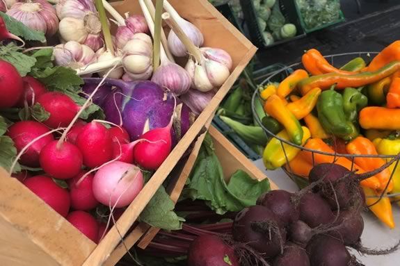 Find Fresh Local Produce at the Andover Massachusetts Farmers Market North of Boston Find Fresh Local Produce at the Andover Massachusetts Farmers Market North of Boston