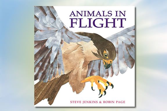 Animals in Flight by Steve Jenkins and Robin Page is today's Nature Tale at IRWS