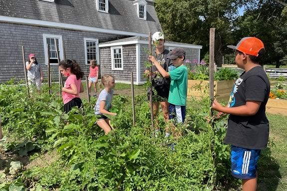 Appleton Farm's Kids in Farmer for a Day program during april Vacation in Ipswich Massachusetts
