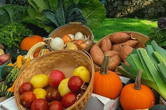 Trustees of Reservations Appleton Farm's Farmers Market in Ipswich Massachusetts