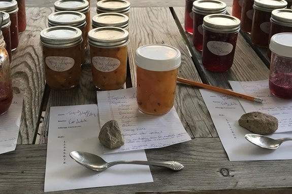 Come to Appleton Farms in Ipswich Massachusetts to swap your own homemade creations with other creative locals! Come to Appleton Farms in Ipswich Massachusetts to swap your own homemade creations with other creative locals!