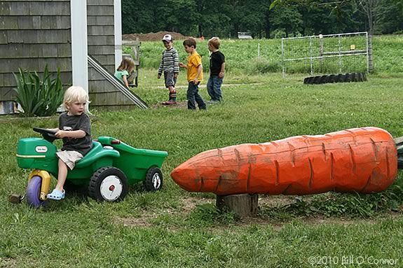 Come see whats happening at the farm! Appleton Farms, Ipswich Massachusetts! Come see whats happening at the farm! Appleton Farms, Ipswich Massachusetts!
