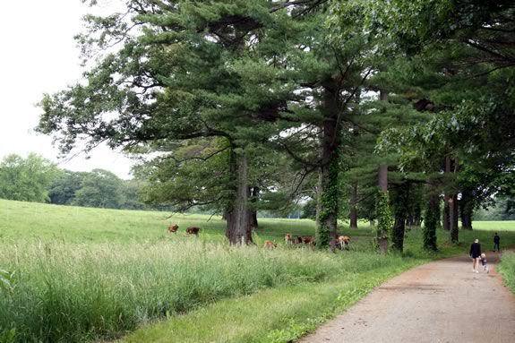 Explore The Trustees of Reservations Appleton Farms and learn about its rich history! Explore The Trustees of Reservations Appleton Farms and learn about its rich history!