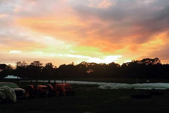 Explore The Trustees of Reservations Appleton Farms and learn about what the creatures of the habitat as night falls! Explore The Trustees of Reservations Appleton Farms and learn about what the creatures of the habitat as night falls!