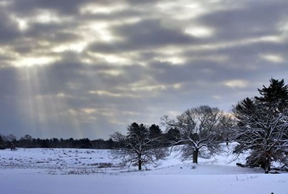 Join the Trustees for a snowy exploration of Appleton Farms in Ipswich Massachusetts on snowshoes. 