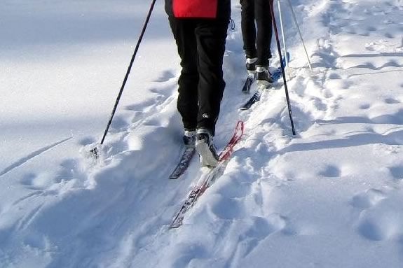 Explore The Trustees of Reservations Appleton Farms in Ipswich on Skis!