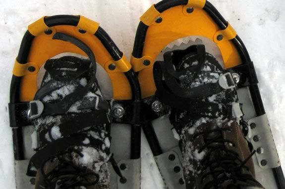 REI is offeirng a Snow Shoeing Basics course at Appleton Farms in Ipswich! 