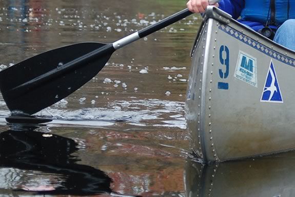 Spend the afternoon on the Ipswich River with Mass Audubon! Spend the afternoon on the Ipswich River with Mass Audubon!