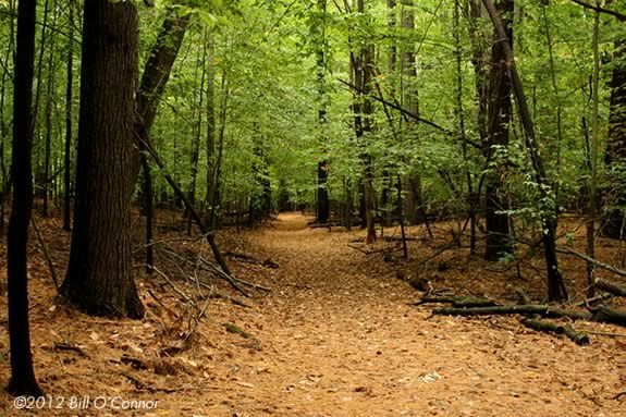 Walk the trails of Ipswich River Wildlife Sanctuary looking for signs of animals preparing for winter! 