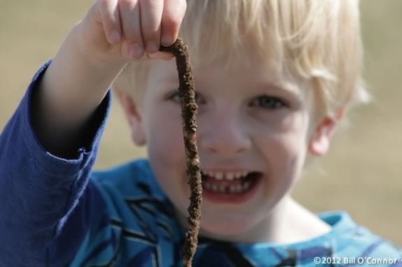 Kids will explore the Ipswich River Wildlife Sanctuary and find out what lives in the soil there! Kids will explore the IRWS and find out what lives in the soil there!