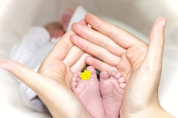 Waldorf School at Moraine Farm hosts a Baby Basics Workshop in Beverly Massachusetts