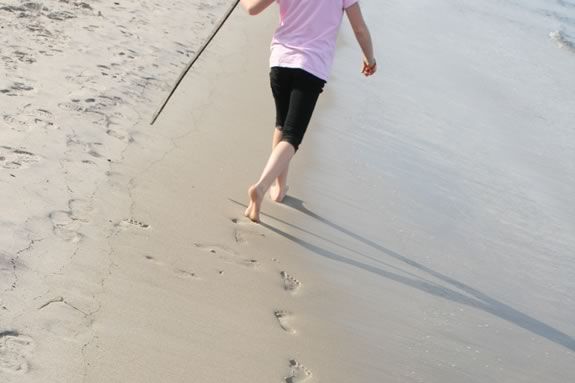 Explore the beach and shore habitats of Mass Audubon's Eastern Point Wildlife Sanctuary with Meg and Victor Atkins of the Ipswich River Wildlife Sanctuary! Explore the beach and shore habitats of Mass Audubon's Eastern Point Reserve