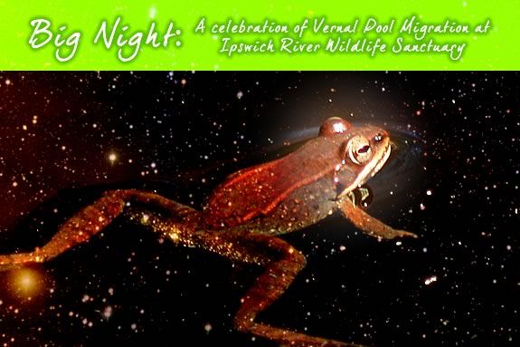 Come explore the vernal pools of Ipswich River Wildlife Sanctuary with Mass Audubon!