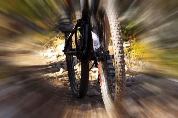 Learn basic Mountain Biking skills at Harold Parker State Forest! Take a casual bike ride on the trails at Harold Parker State Forest!