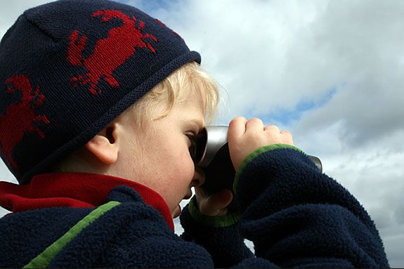 Beginning winter birding is held on the 3rd Sunday of each Winter month at Halibut Point State Park in Rockport Massachusetts