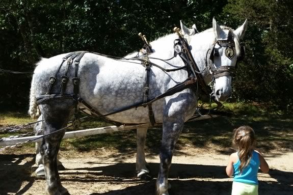 Come Explore Maudslay State Park on a FREE hayride!