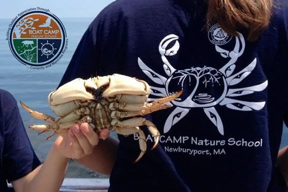 Boat Camp Nature School will be at the Emma Andrews Library! 