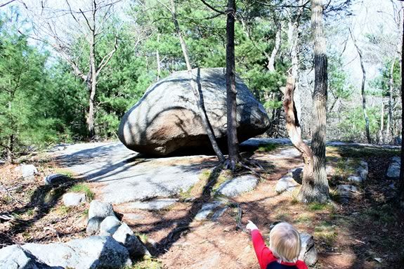 Giant boulders can be found all over Ravenswood Park. How'd they get there?